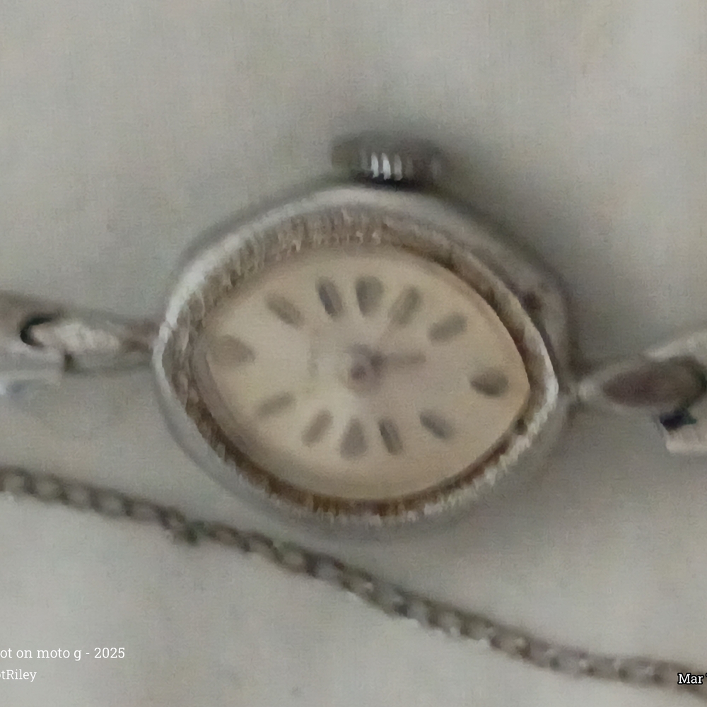 Elegant Silver Women's Watch